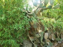 183 D21 SANARY SUR MER 1_000051